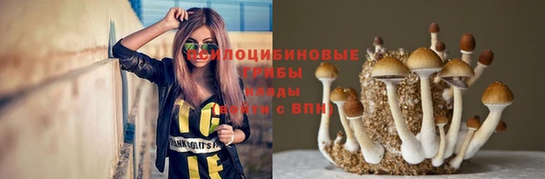 ECSTASY Рославль