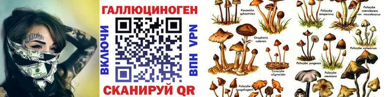 Псилоцибиновые грибы прущие грибы  Морозовск 